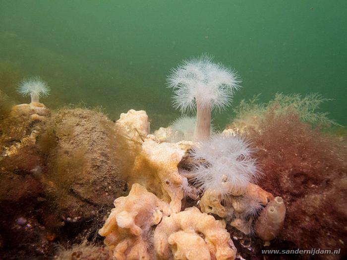 Scharendijke, 18-4-2014